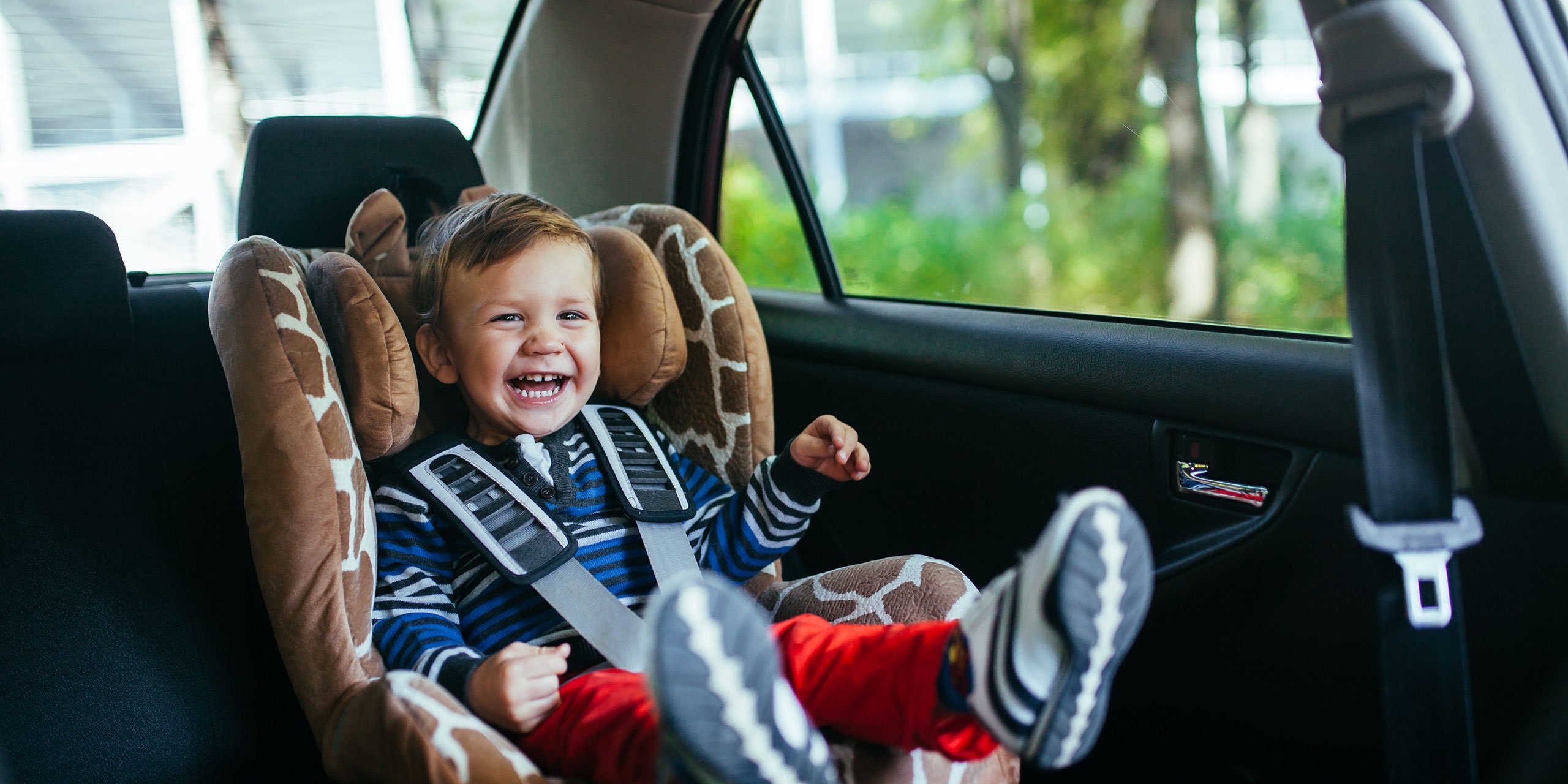 Colorado Car Seat Laws