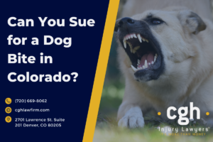 Can You Sue for a Dog Bite in Colorado