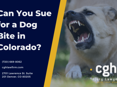 Can You Sue for a Dog Bite in Colorado